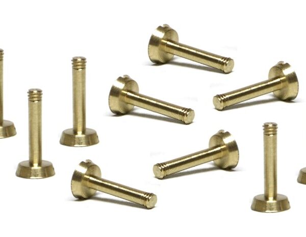Tornillos de latón de M2x9mm de Slot.it